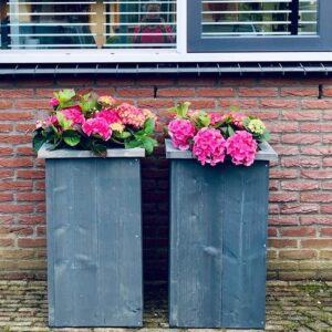 Plantenbak model Badhoevedorp